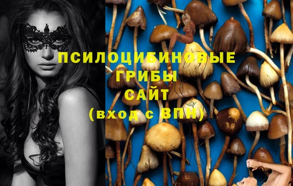 меф Алексин
