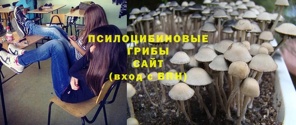ешки Алексеевка
